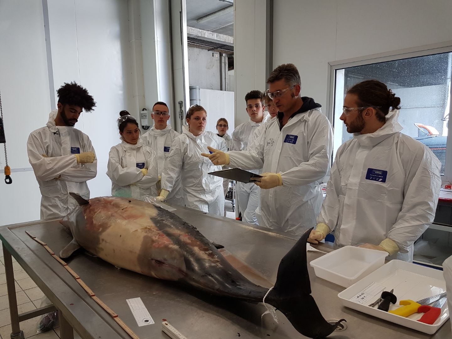Autopsie d'un dauphin par l'équipe scientifique de l'observatoire Pélagis en présence d'éleves en 1ère BTS PGEM du Lycée Maritime et Aquacole (LMA) de La Rochelle.